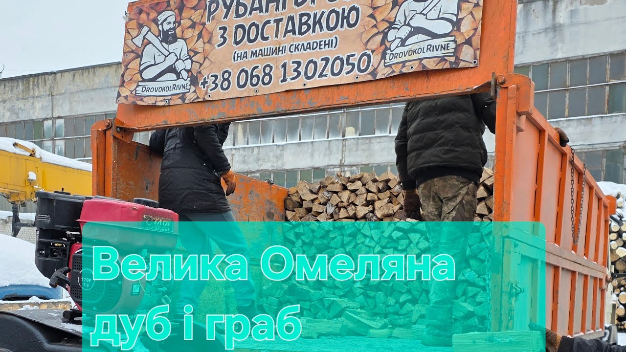 Велика Омеляна дуб і граб постійному клієнту