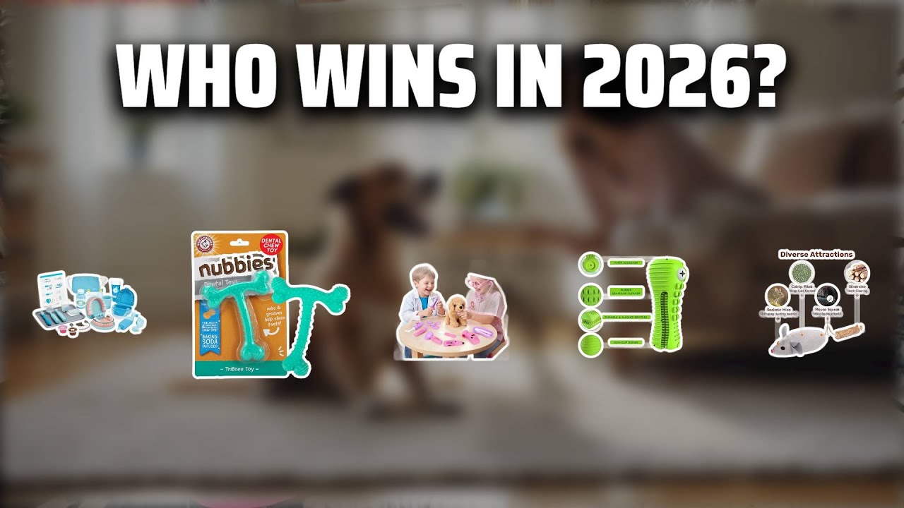 The Top 5 Best Dental Toy in 2026 - Must Watch Before Buying!