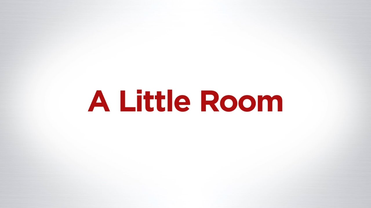 The 50th Anniversary of the Cornell Feline Health Center - Part Two | A Little Room
