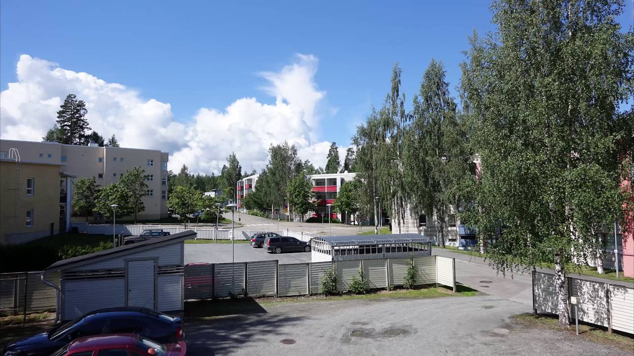 Petonen takapiha lapse