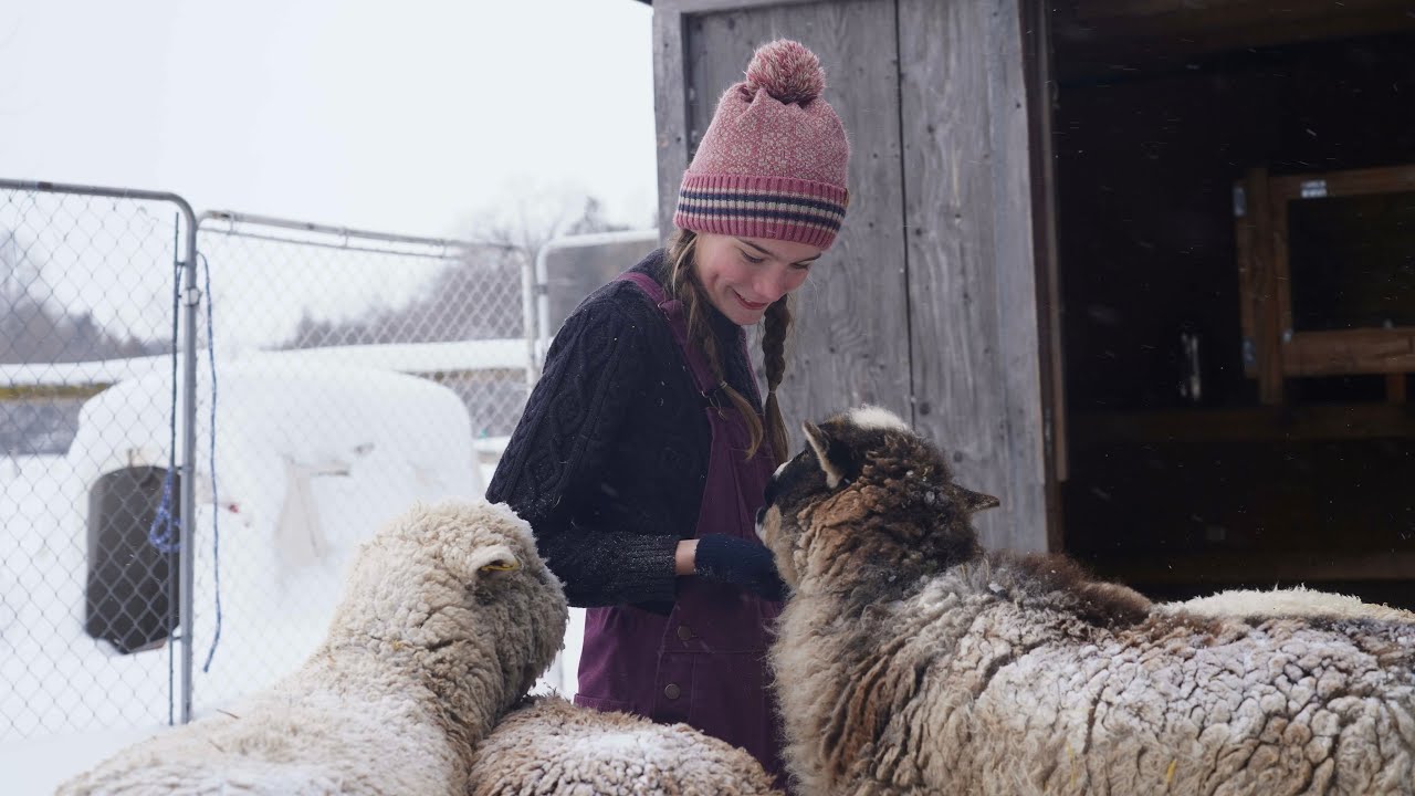 feeding all the animals in -14