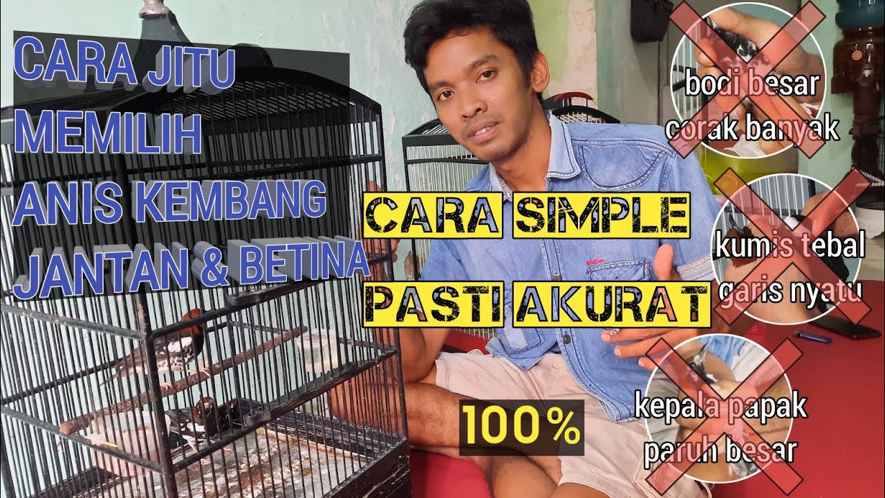 MEMBEDAKAN ANIS KEMBANG JANTAN DAN BETINA