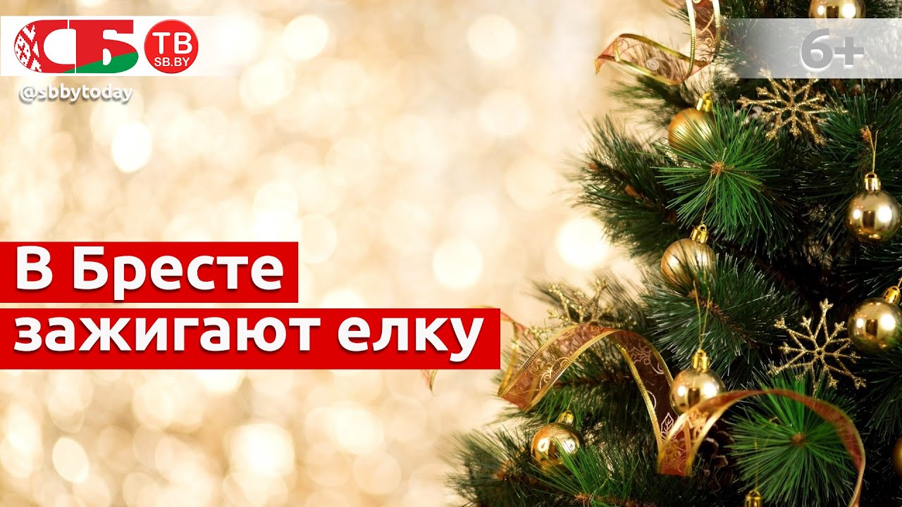Смотрите, в Бресте открывают главную новогоднюю елку города 2022-23 | ПРЯМОЙ ЭФИР