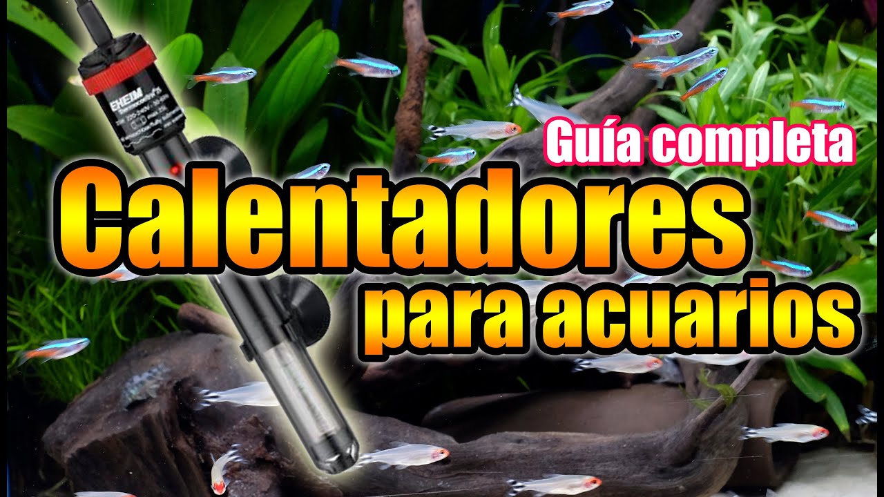 Calentadores para acuarios - Gu&iacute;a para utilizarlos correctamente y conseguir ahorro energ&eacute;tico 👍