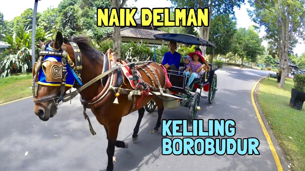Pixel Naik Delman Istimewa Keliling Candi Borobudur | Wisata Magelang & Yogyakarta