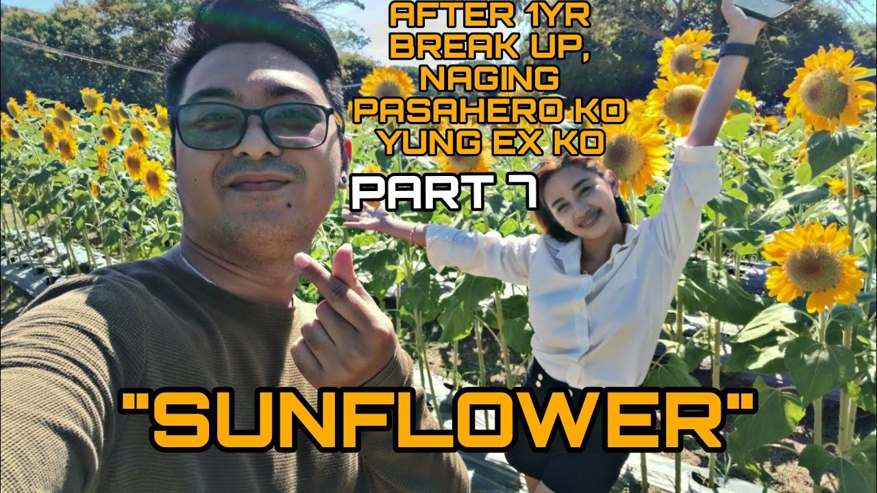 SUNFLOWER || AFTER 1YR BREAK UP, NAGING PASAHERO KO YUNG EX KO PART7 || KAIBIGANG LUBOS