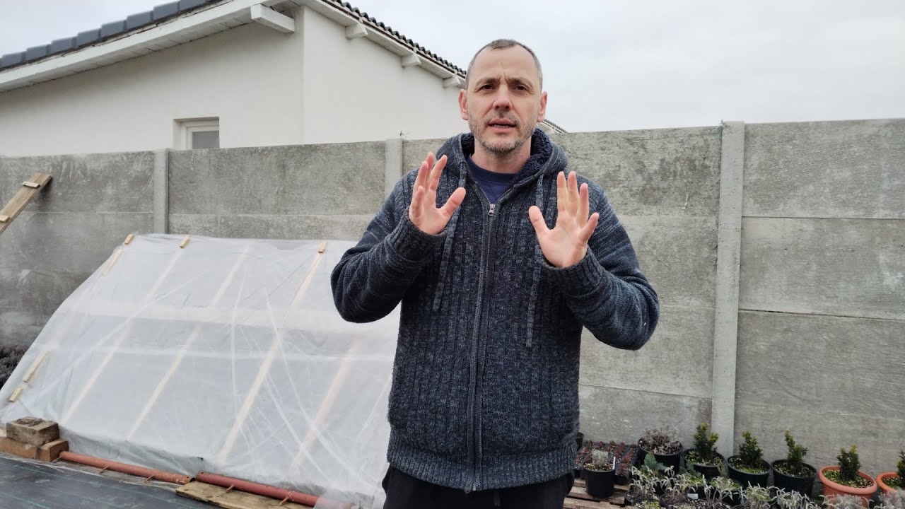 How to protect your lavender and other plants in the winter