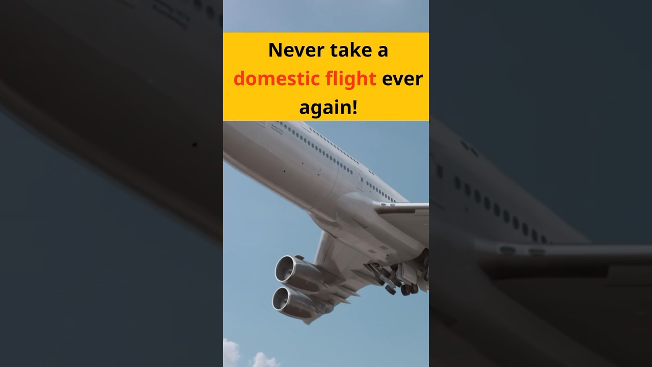 STOP FLYING NOW! ✈️ 🚫 #flight #avgeek #travel #ecotourism