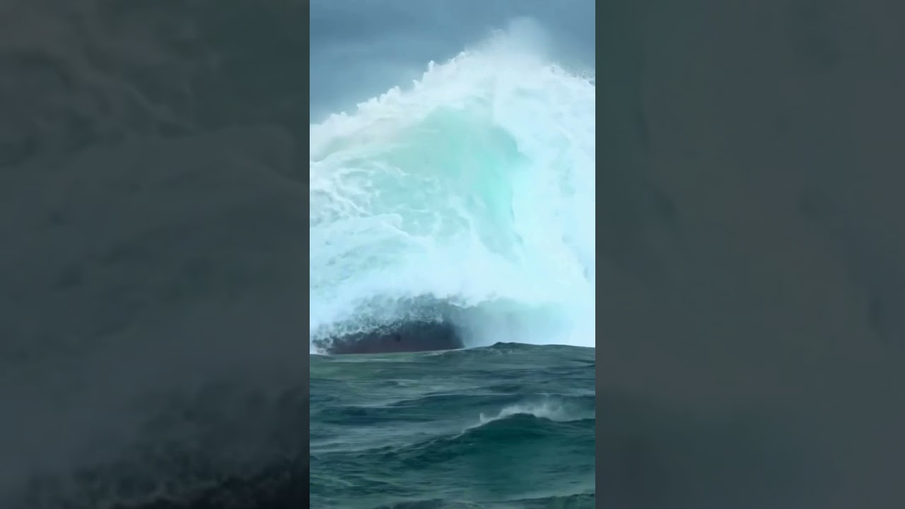 Can This Cargo Ship Survive a Massive Wave? #oceanship #scaryocean #ocean
