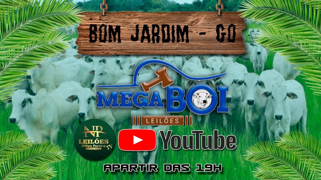 MEGA BOI LEILÕES - BOM JARDIM DE GOIÁS 10/02/2026