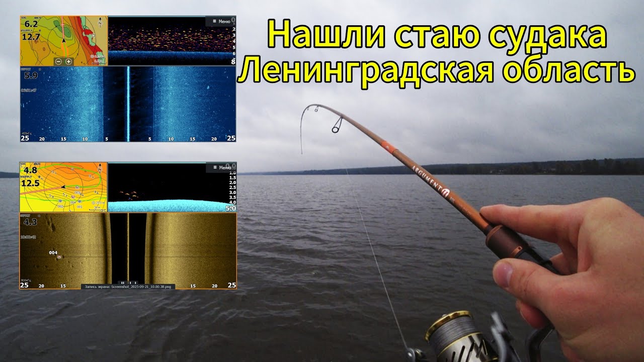Тонна судака на озере в Ленинградской области/Рыбалка в Новолунье/Сентябрь2025