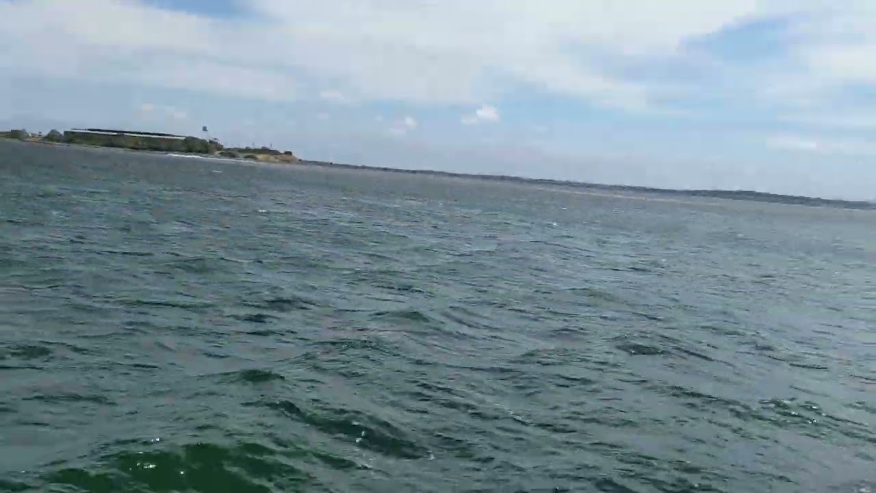 Port Phillips Ferry ⛴️ Geelong Flyer - Port Phillip Bay - Port Phillips Ferries