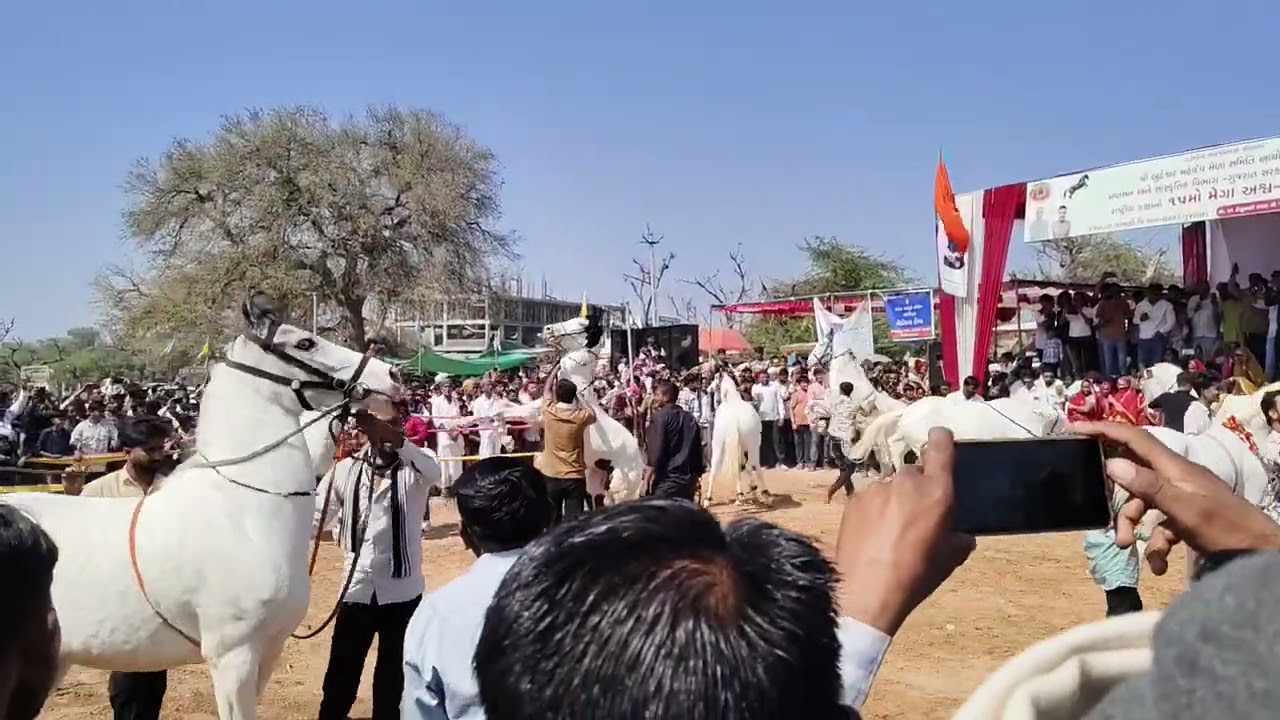 15 ફેબ્રુઆરી, 2026
