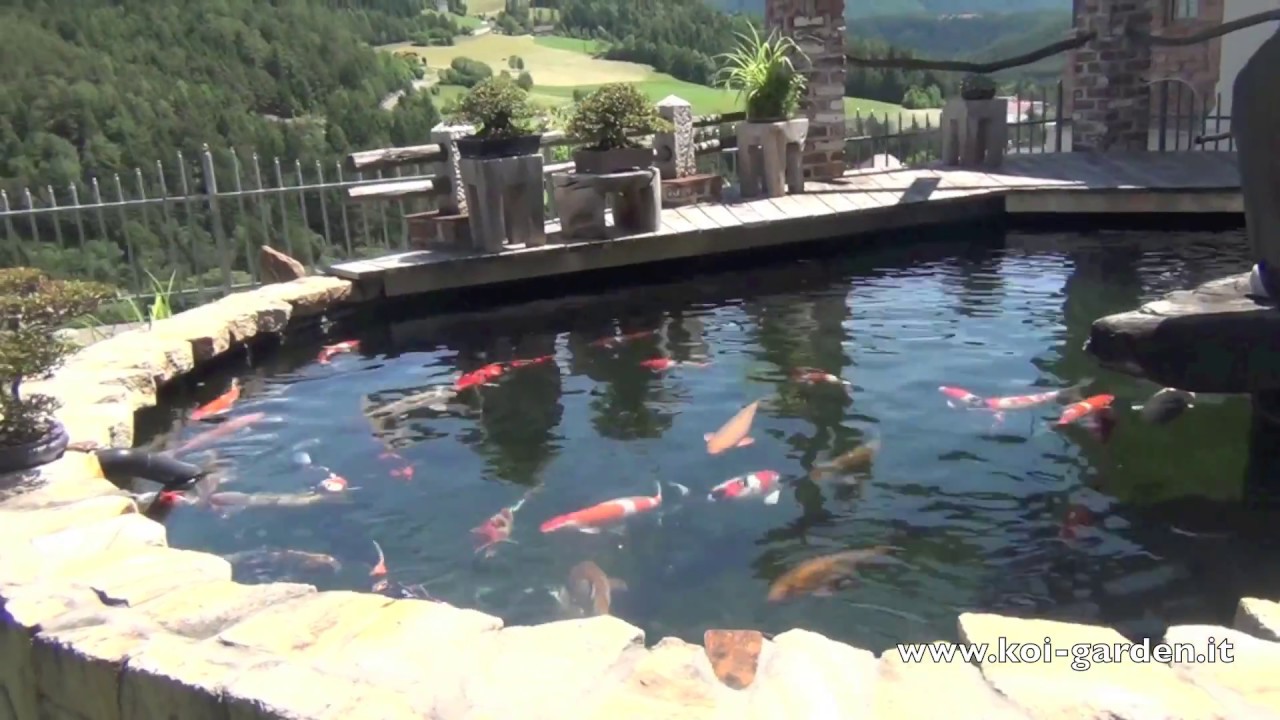 laghetto koi made by koi garden italia