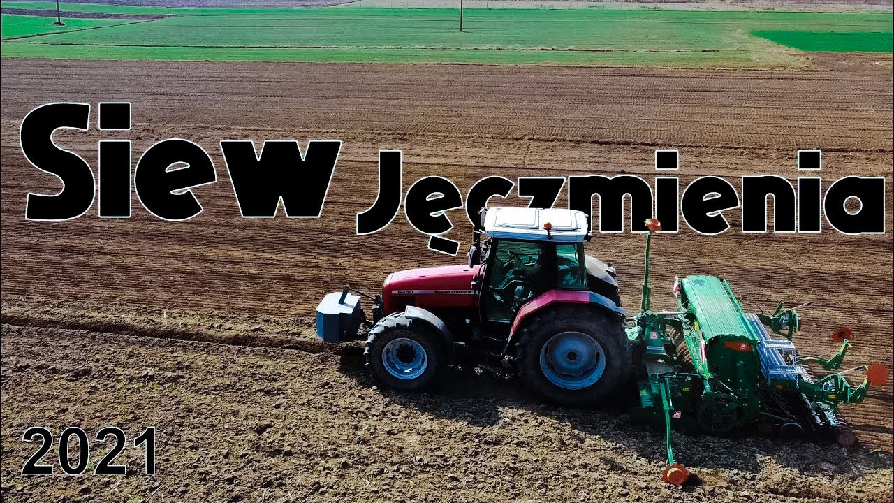 Siew Jęczmienia 2021 -  Massey Ferguson  Amazone - AdekFarm