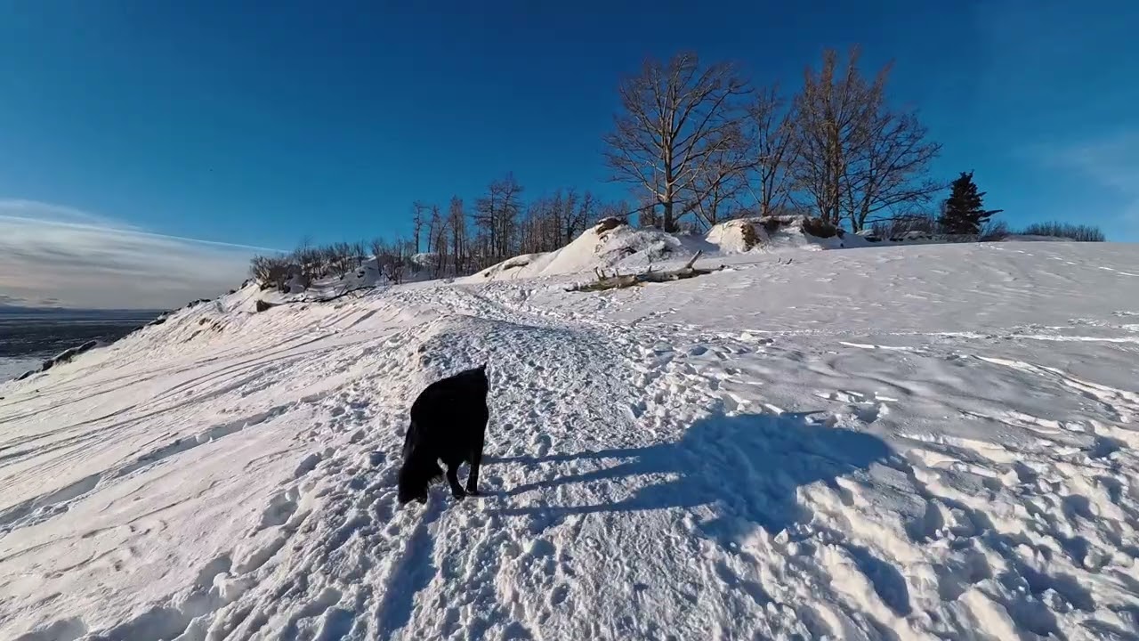 dune walkies, Kincaid Park