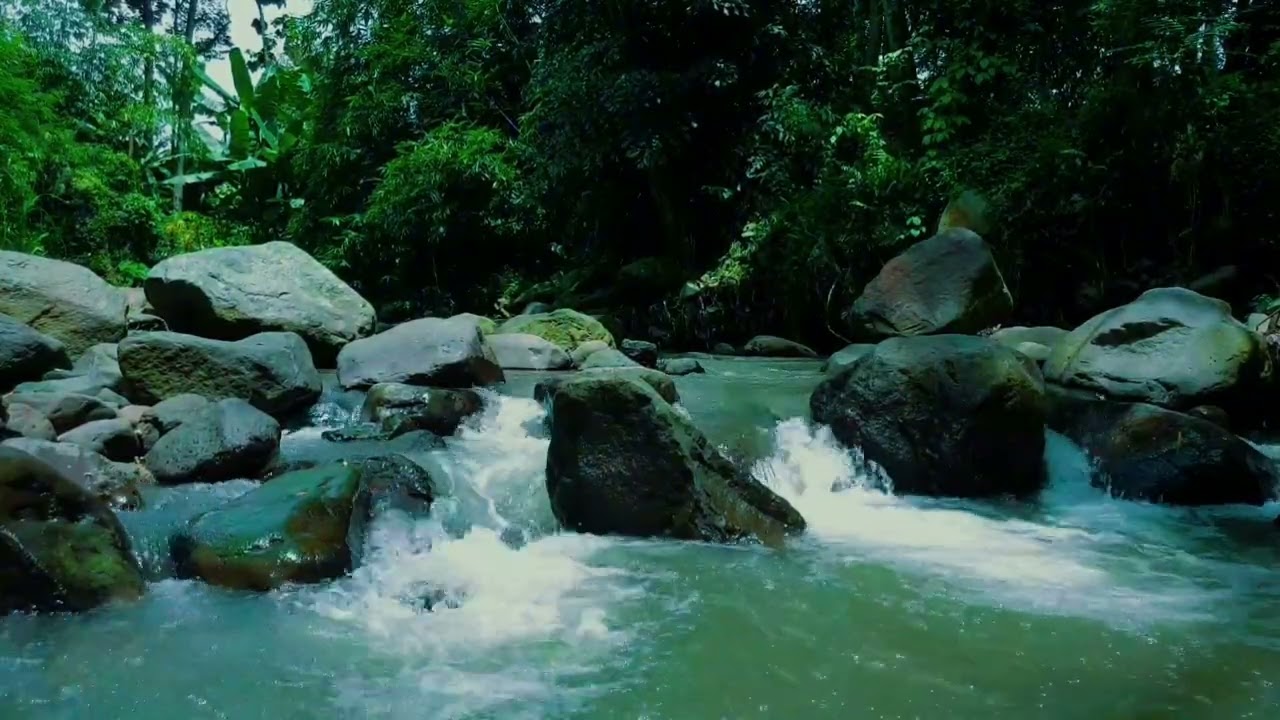 1 Hour ASMR Tropical River Stream: Pure Water Sounds for Deep Sleep & Stress Relief