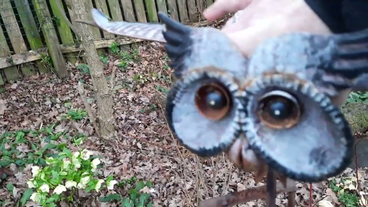 End of January Garden Tour