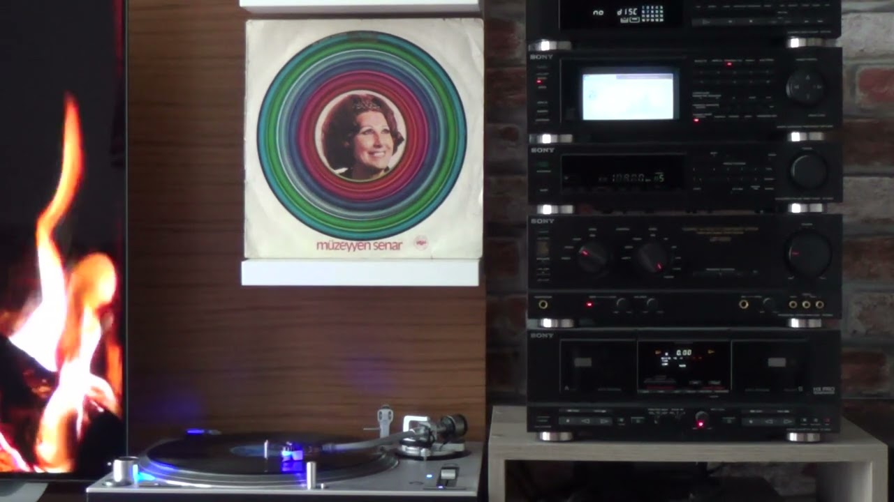 Müzeyyen Senar / Karadır kaşların - orijinal dönem plak kaydı