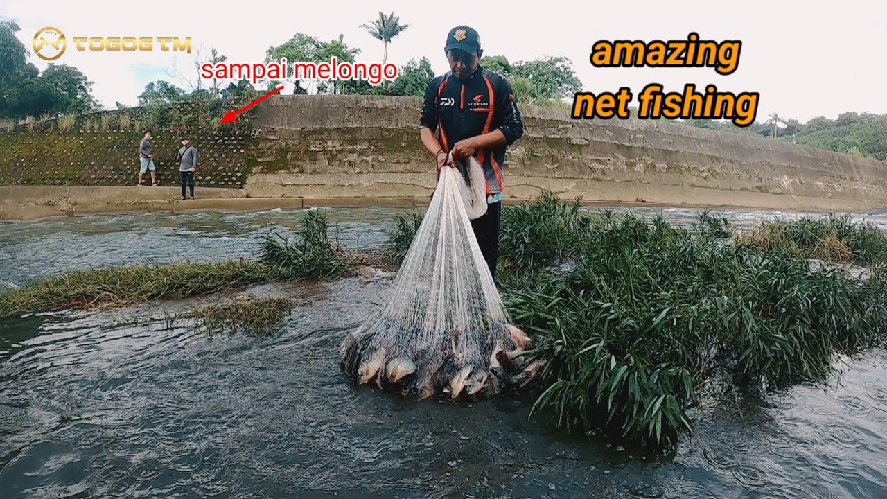 Rejeki nomplok jala ikan di sungai dangkal || amazing net fishing