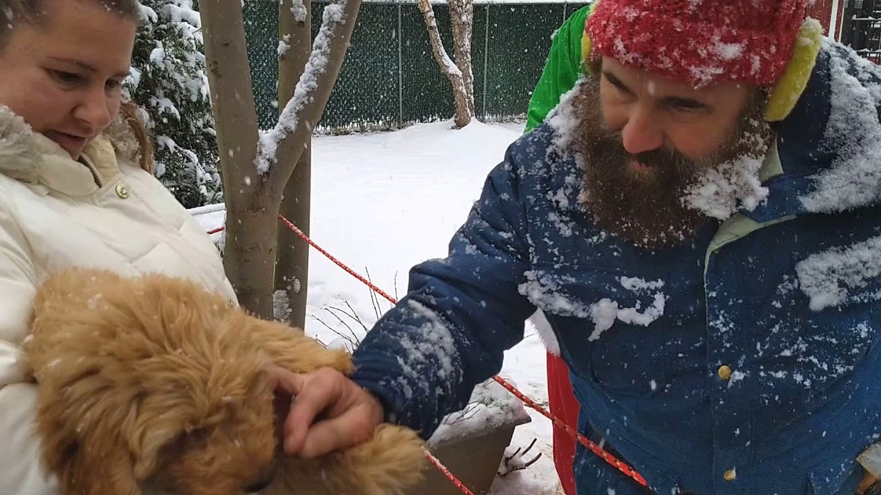 Moose the dog visits with Yukon Cornelius