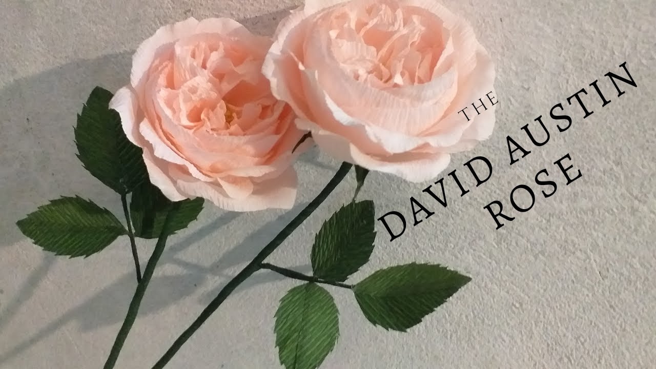 Cách làm hồng David Austin từ giấy nhún|How to make David Austin Rose by crepe paper|Irishandmade