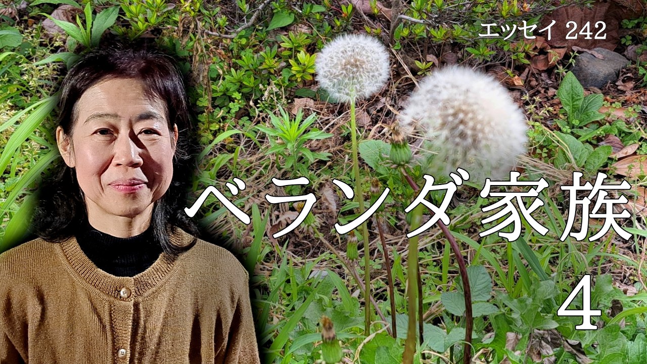 作品242 『ベランダ家族４』