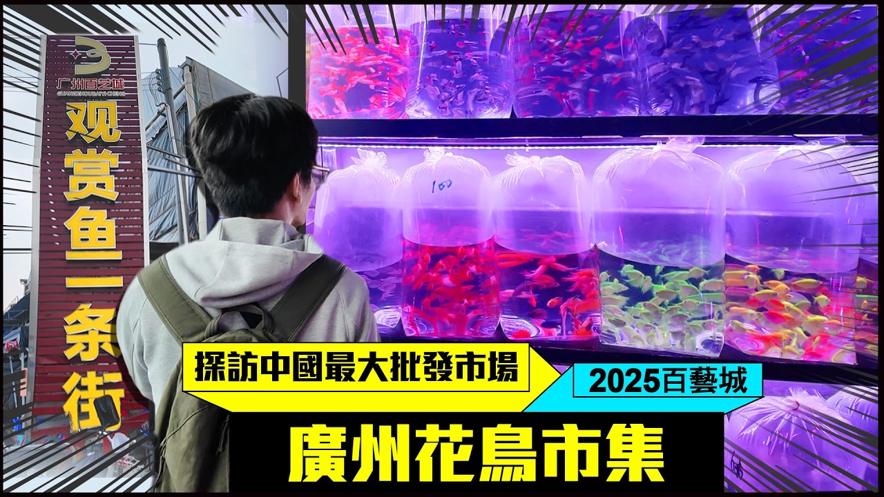 【廣州百藝城】探訪全中國最大花鳥魚市集！這規模太震撼，逛一整天都逛不完！