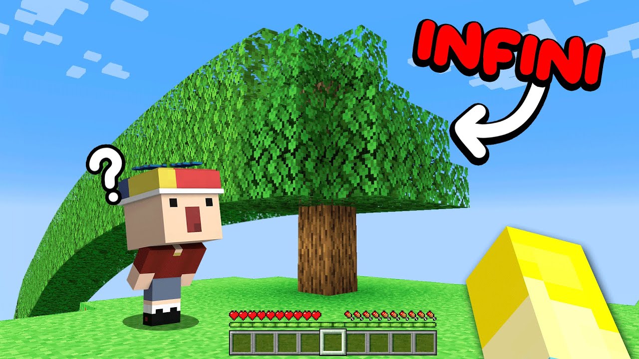 J’ai Modifié le Minecraft de ce KIKOO jusqu'à ce qu'il le REMARQUE..