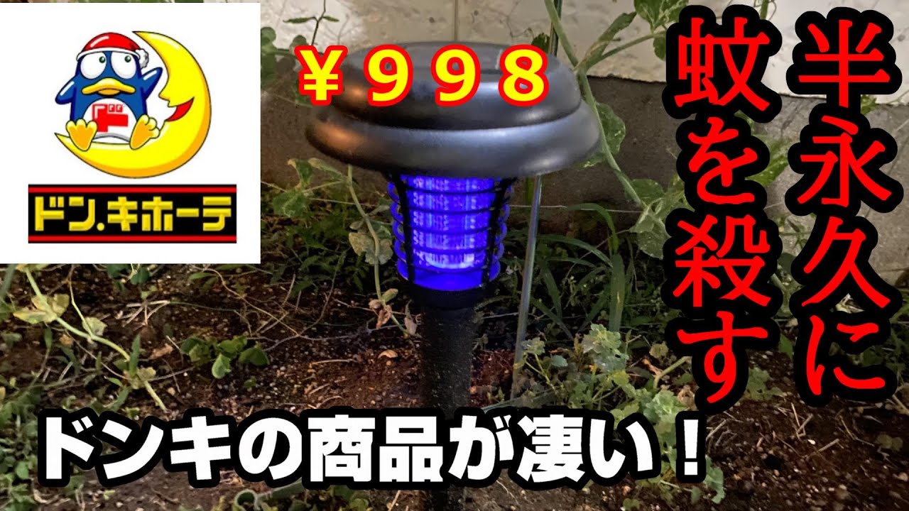 夏に欲しい！蚊を撃退できるドンキ商品が優秀【LEDソーラーガーデンライト】おすすめアイテムBBQ蚊取り線香対策防虫キャンプアウトドアバーベキュー紫外線電気ショック安いドンキホーテ