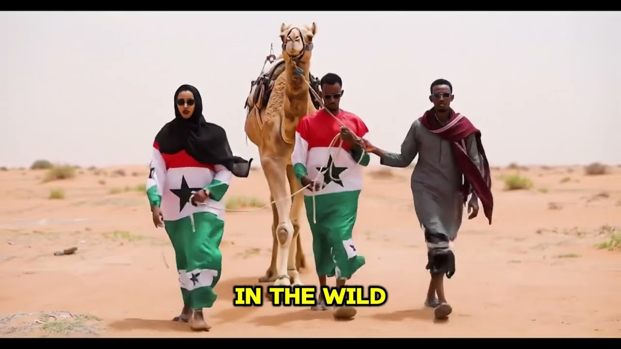 Top 5 Amazing Facts About Camels