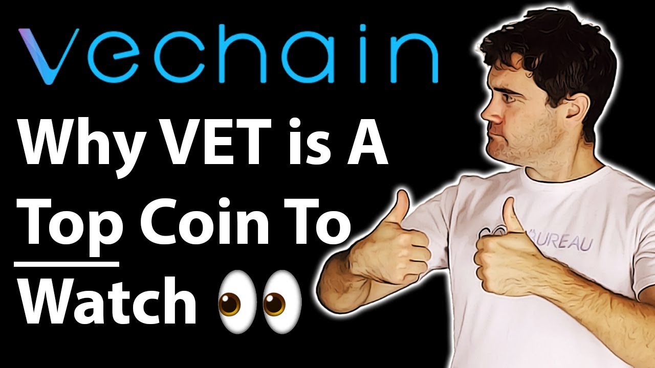 Vechain Review 2019: Still Worth It??