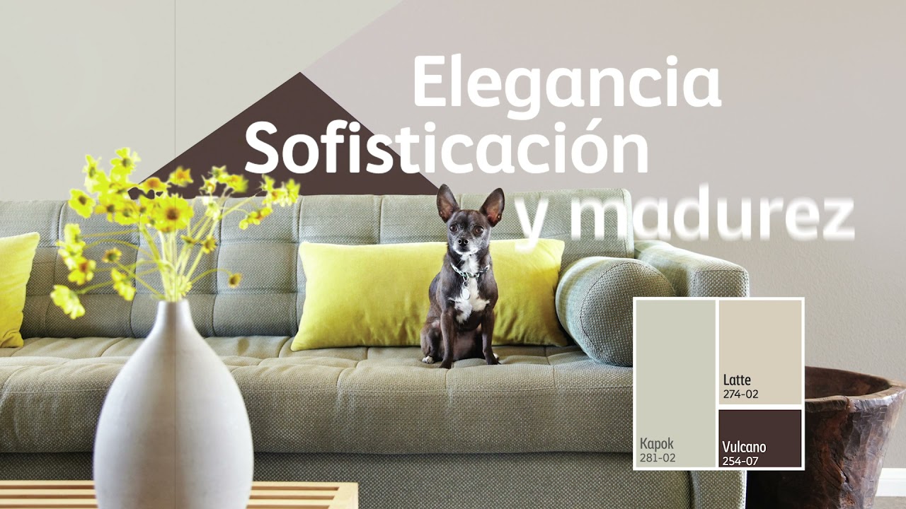 📣 Utiliza los colores neutros Comex para paredes interiores 🥛🍦