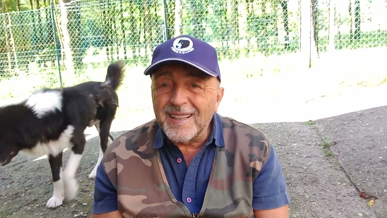 Video 7 - Quali sono le migliori razze di Cani da Guardia? LA LOGICA PRIMA DI TUTTO!