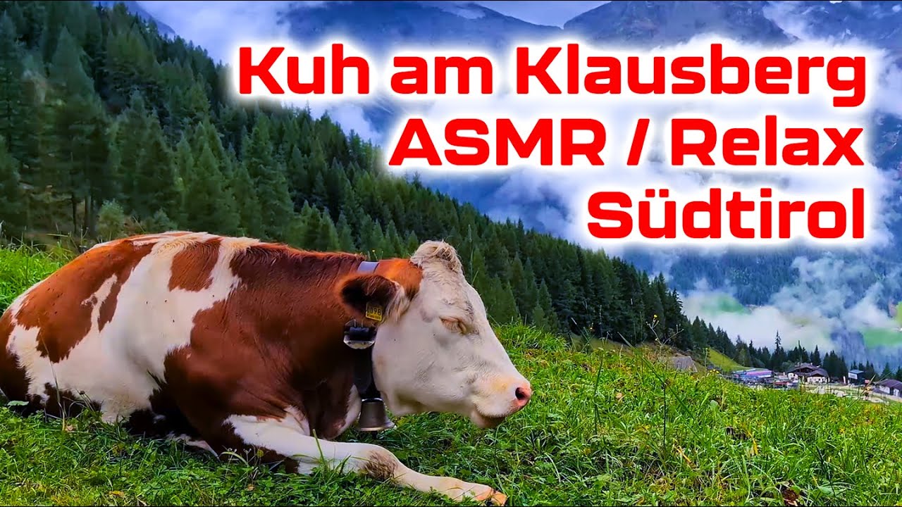 Alm-Feeling pur: Klausberg Kühe ASMR für Stressabbau & Meditation