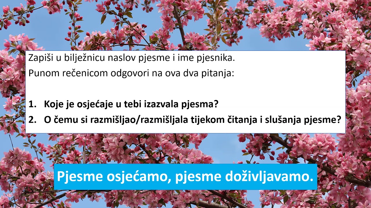 Virtualno o književnosti: Interpretacija lirske pjesme