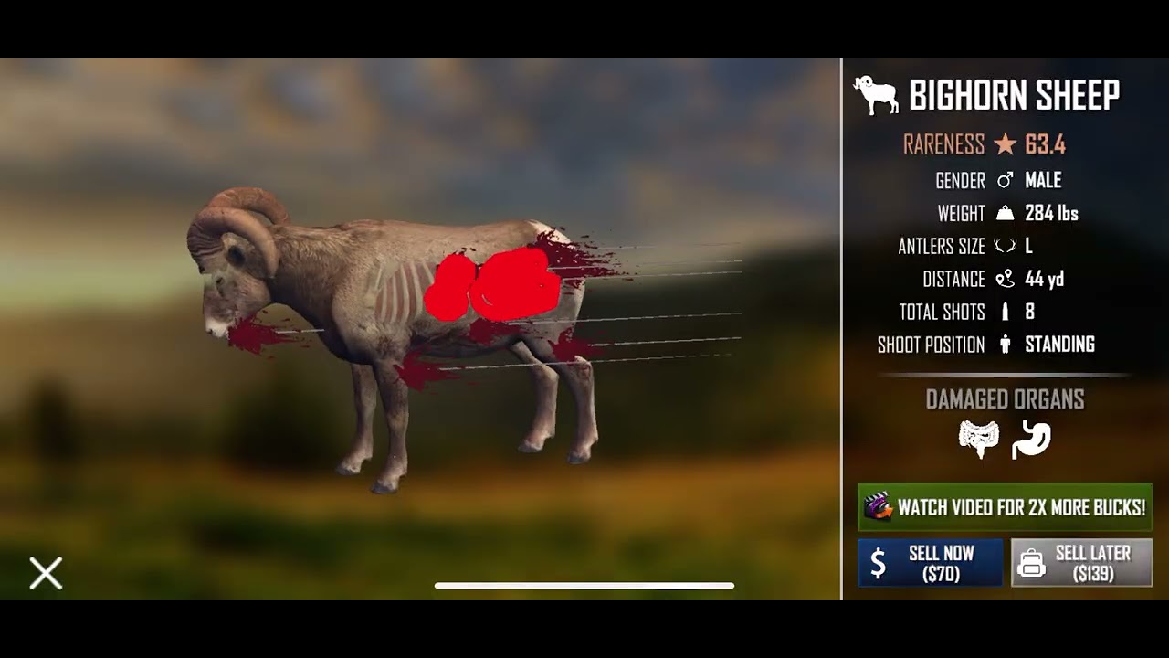 On the grind for bigger animals