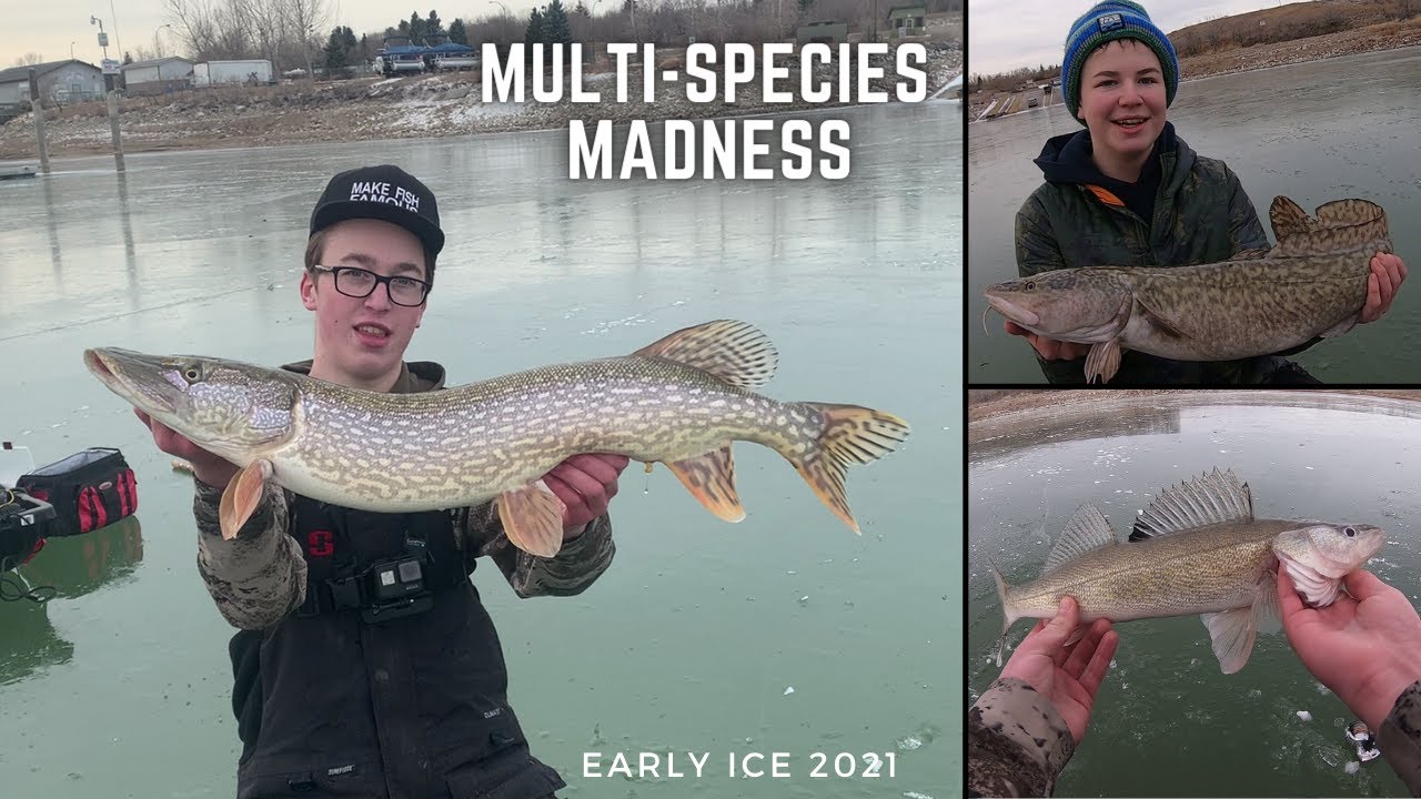 EARLY ICE PIKE AND WALLEYE ACTION!!! | Multi-Species Madness | Early Ice Safety | MONSTER ANGLING