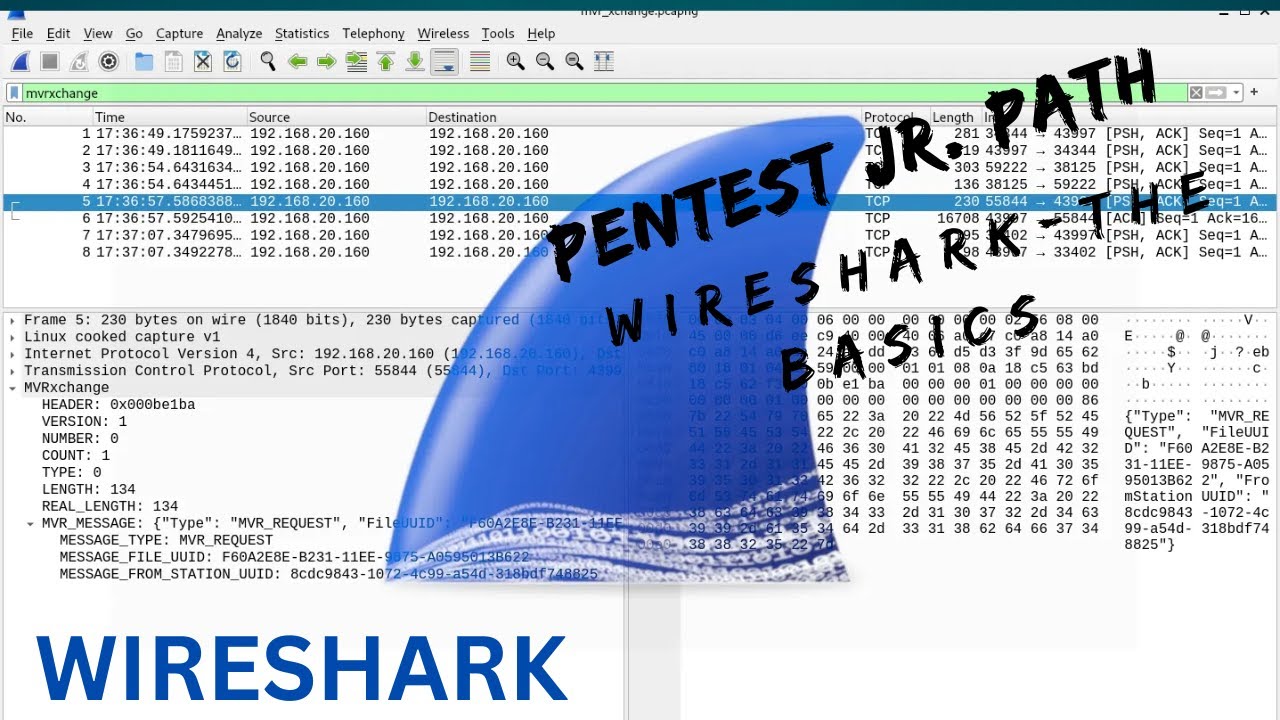 Wireshark Basics Tutorial | TryHackMe Walkthrough (Full Guide)