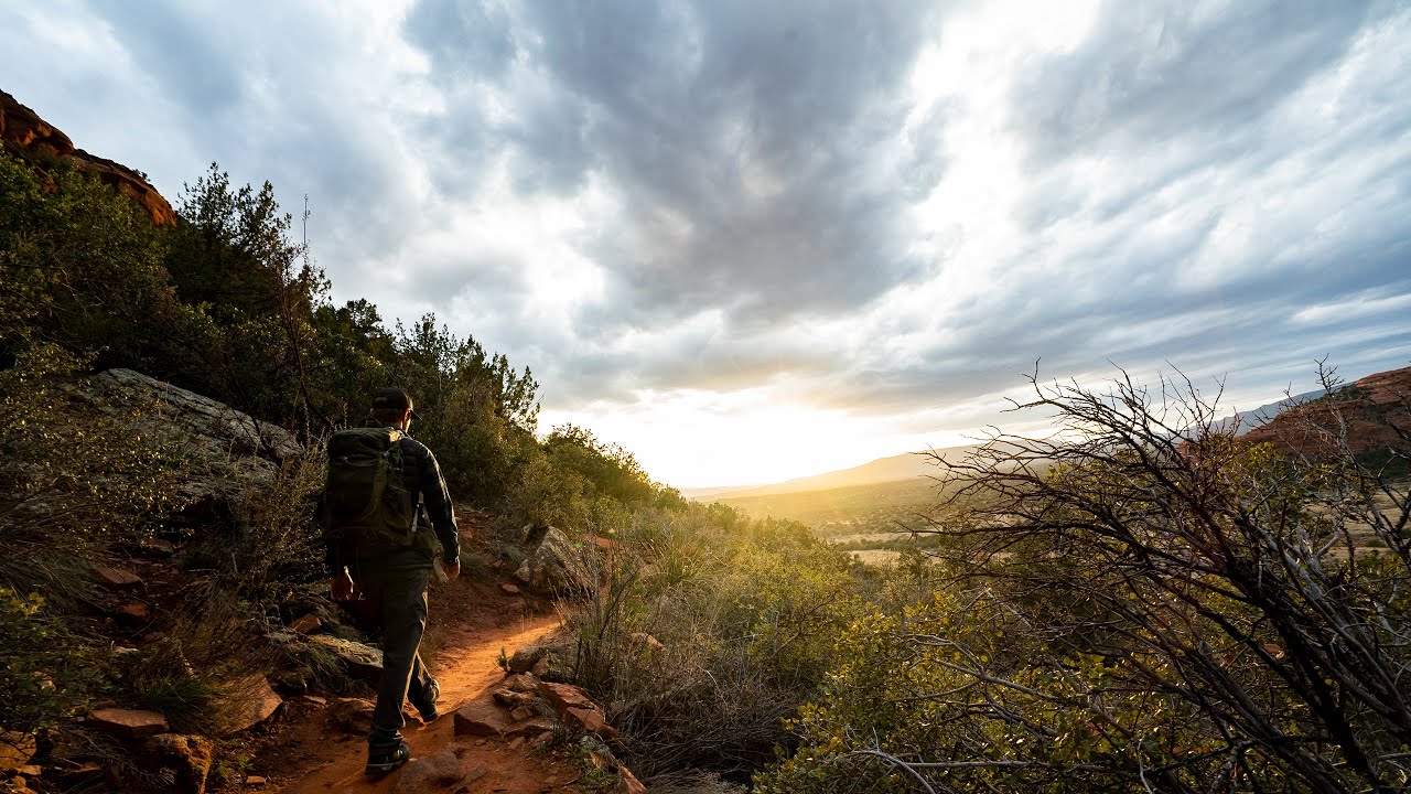 This Is: A WILD Connection