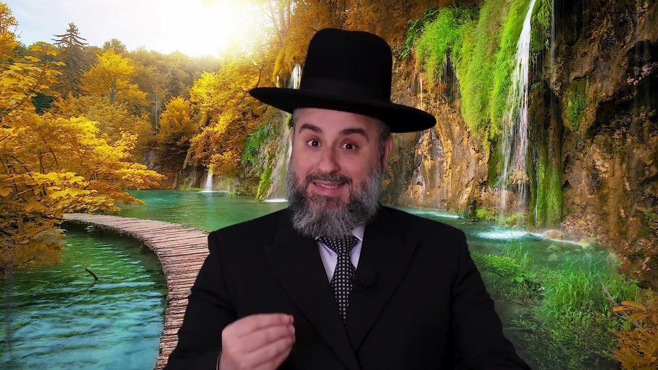 פרשת אמור התשפ