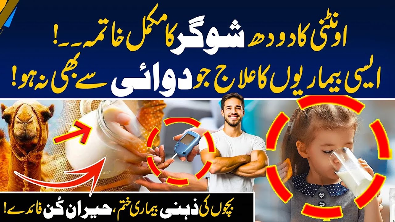Camel Milk the Natural Cure for Diabetes  Shocking Health Benefits Revealed   Morning With Fiza