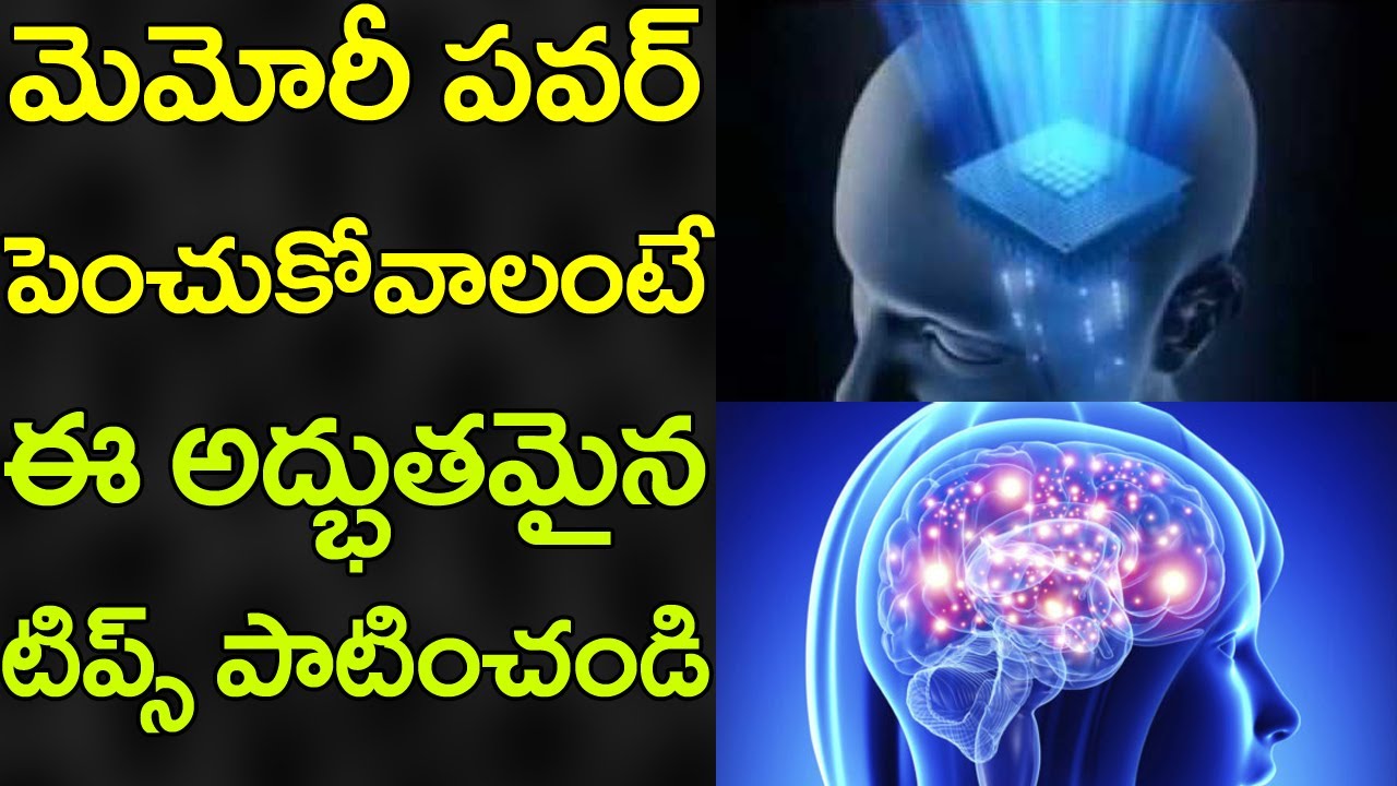AMAZING Tips to Improve MEMORY Power! | Best Tips in Telugu | Latest Updates | VTube Telugu