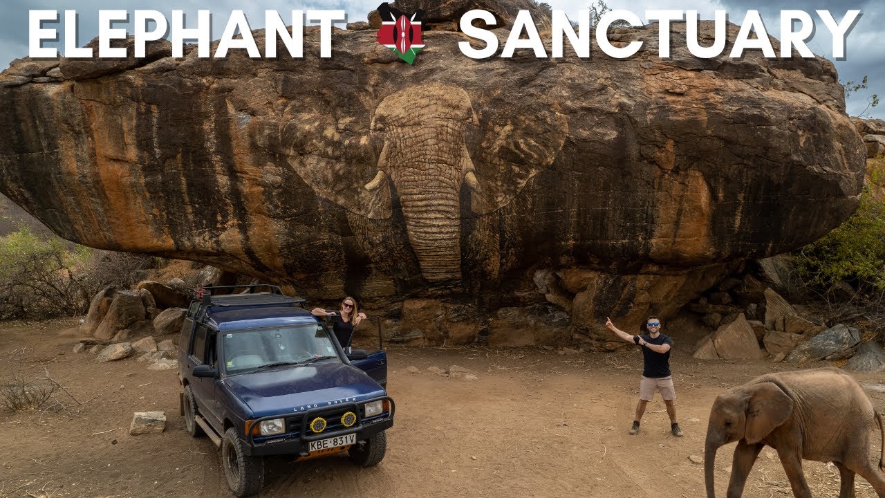 В гостях у 42 слонят в Самбуру, Кения 🐘