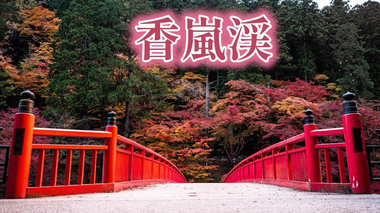 【東海地方ナンバー１の紅葉スポット】香嵐渓（こうらんけい）　｜愛知県｜豊田市｜愛知県の紅葉スポット｜2024.12.7｜
