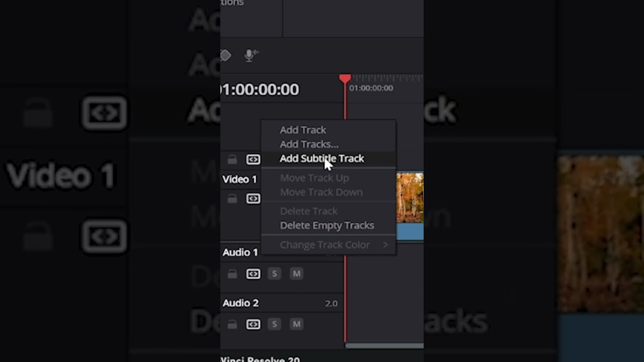 How To Add Subtitles In DaVinci Resolve 20 Fast!