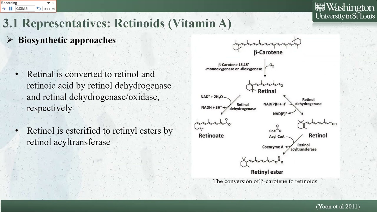 Bioproduction of Terpenoids