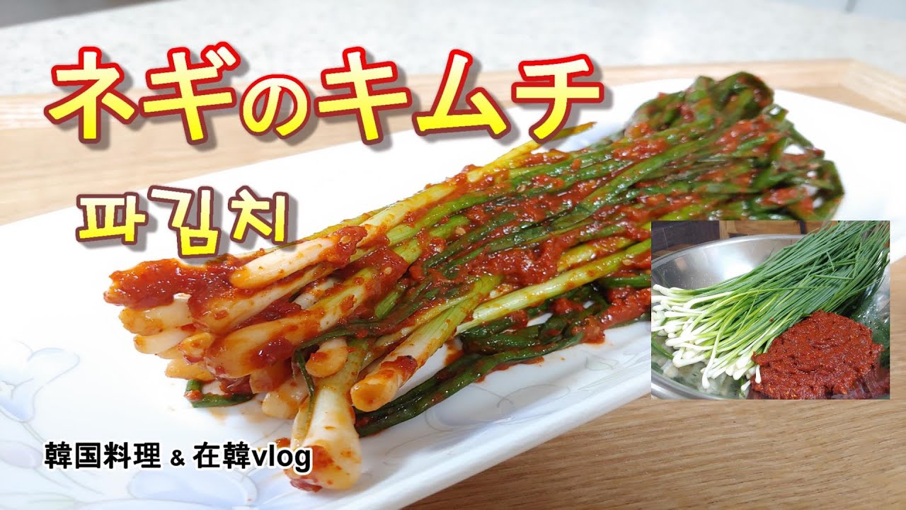 【食欲そそる、ネギのキムチ】韓国料理&在韓vlog ,파김치 담그는 법,how to make 