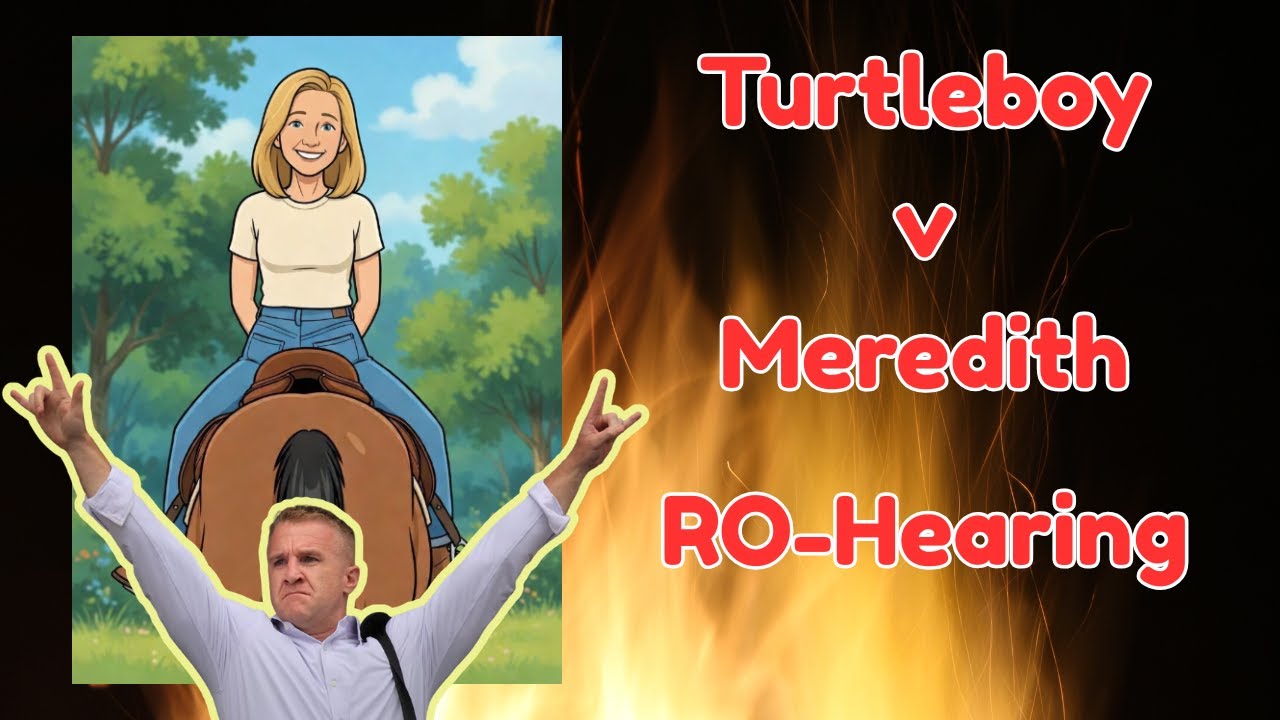TurtleBoy v Meredith - Wild RO Hearing