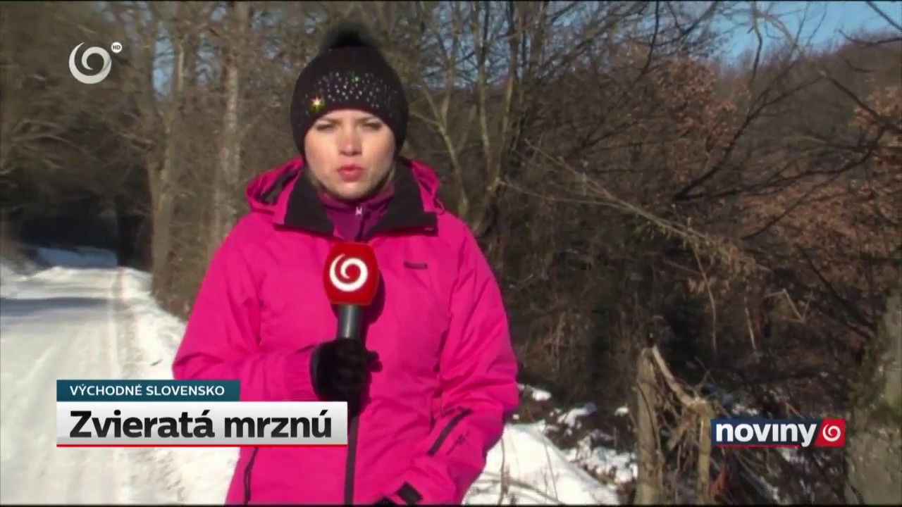 Silný mráz doráža aj zvieratá